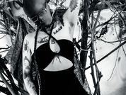 AmySpider
