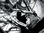 AmySpider