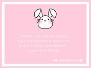 LittlePinkBunnny