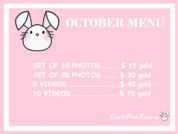 LittlePinkBunnny
