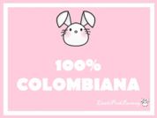 LittlePinkBunnny
