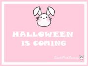 LittlePinkBunnny