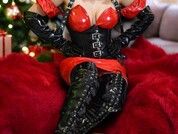 MistressAmmy