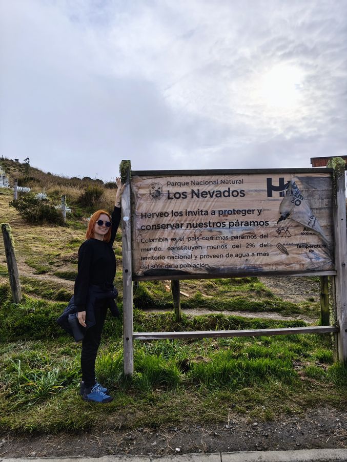 LyssaRous