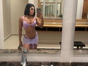 Amylewiss