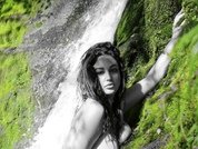 Chasey_Chase