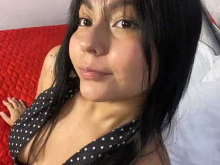 Ariel_Brake profile