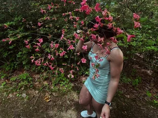 BlazeBlazey