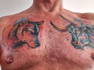 VixenandTheWolf profile