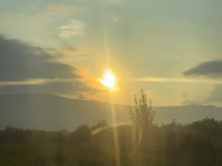 BlackCurvedDick profile