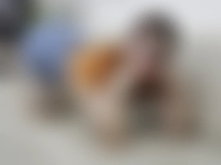 Dreamsecretgirl_vc profile