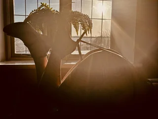 KatieCarterX profile