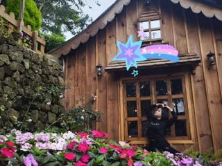 Rose_Mussica profile