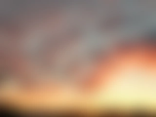 Slipperydilf profile