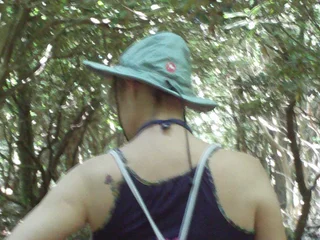 SouthernKitten profile