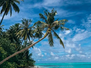 marky_mark_hot profile