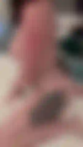 Imagine-moi chevaucher ta bite.