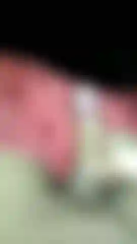 Bite dure et humide.