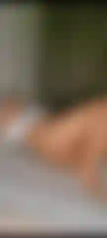 Une incroyable giclée.