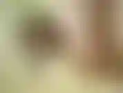 Chatte à la crème de banane.