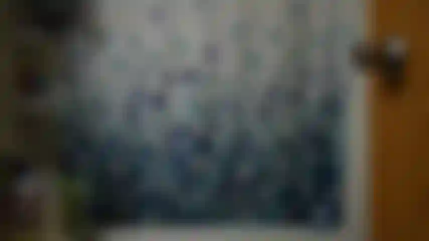 Roomie joi cum clarté.