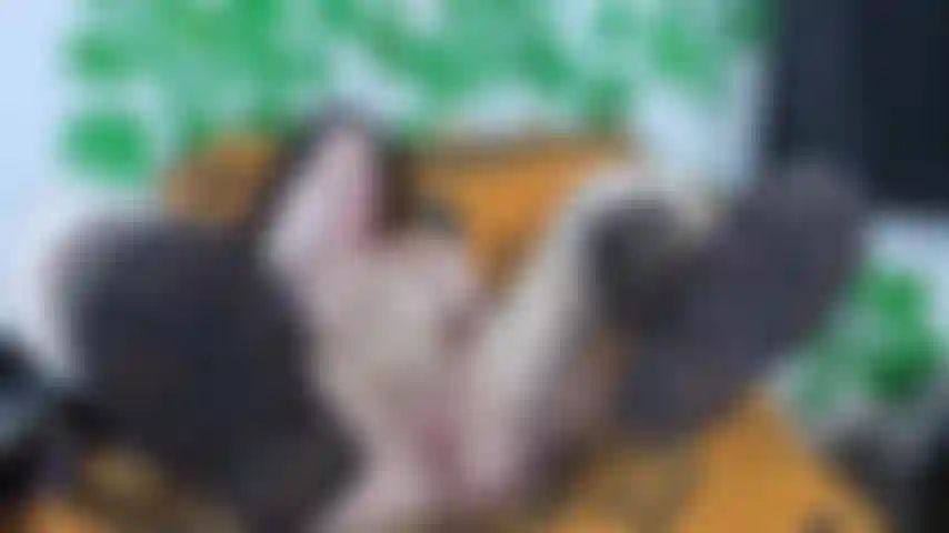 Masturbation avec un gode en verre dans mes bottes ugg.