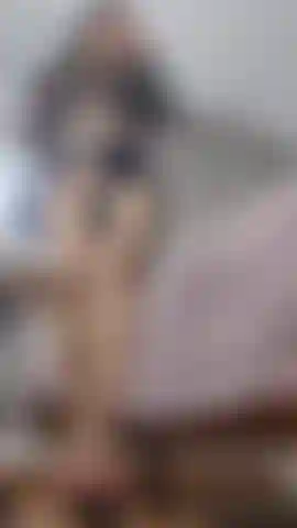 Ready to give me your ass?