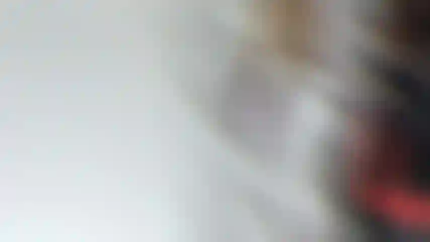 Une belle fille sexy.