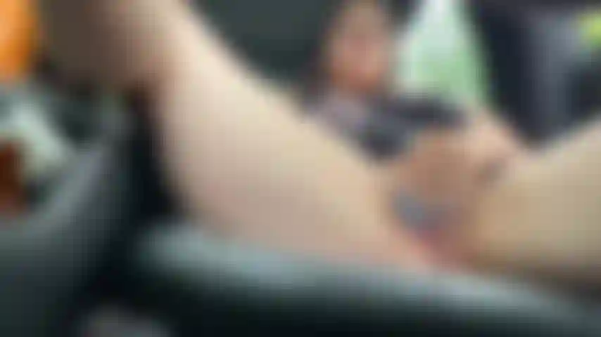 Jeu de voiture de parc d'état sativa.