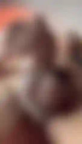 Je prépare ma bite dure pour toi.