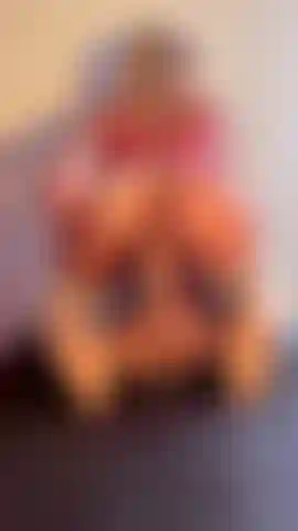 Le cadeau de noël que vous recherchiez.