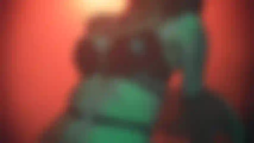 Lingerie cuir et femme sexy.