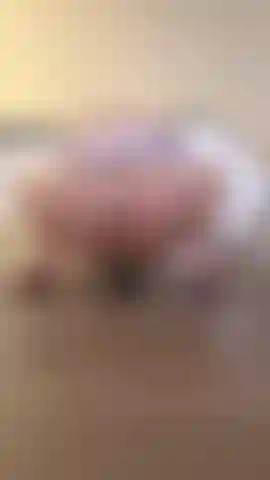 Je chevauche mon gode en portant mon pull virgin killer. Ma chatte est tellement serrée omg.