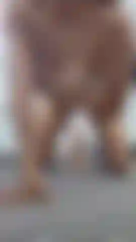 Je vais jouer avec moi-même jusqu'à ce que mon corps ne puisse plus le supporter... Aimez-vous cette vue pour lancer le jeu.