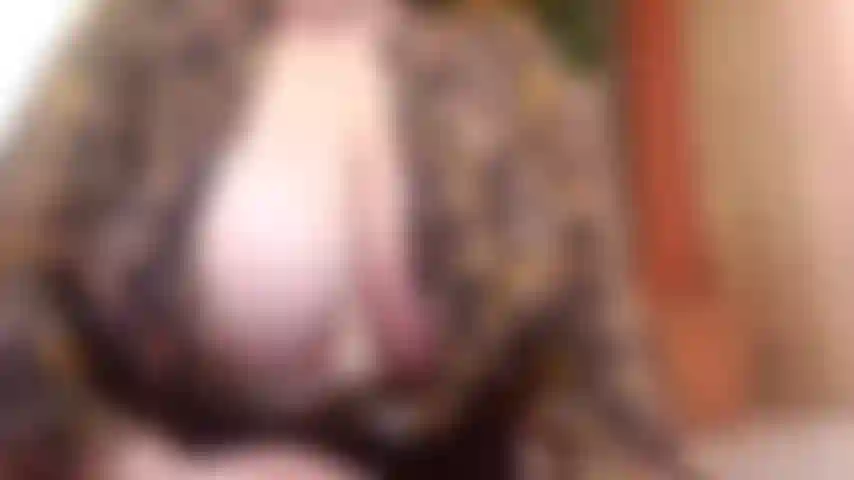 Cowgirl inversée et bj 4 "papa" pov bavant sur ta grosse bite, puis la fourrer dans ma petite chatte et regarder mon cul rebondir pendant que je prends tout !