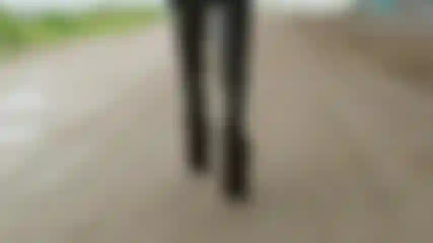 Voudriez-vous aller vous promener ?