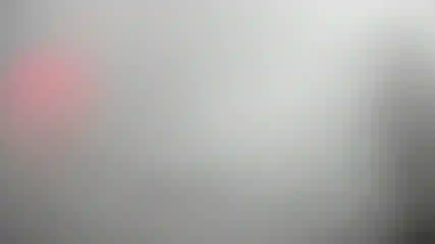 Pas de chatte pour toi - déni de chatte.