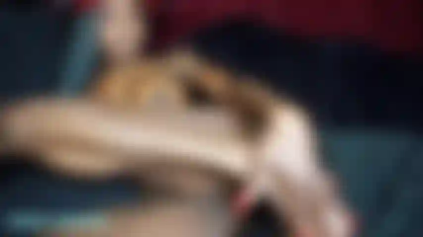 Viens à moi mon seigneur démon noir et remplis moi comme toi seul peux. Martèle ma chatte avec cette grosse bite noire jusqu'à ce que ma chatte gicle partout pour toi.