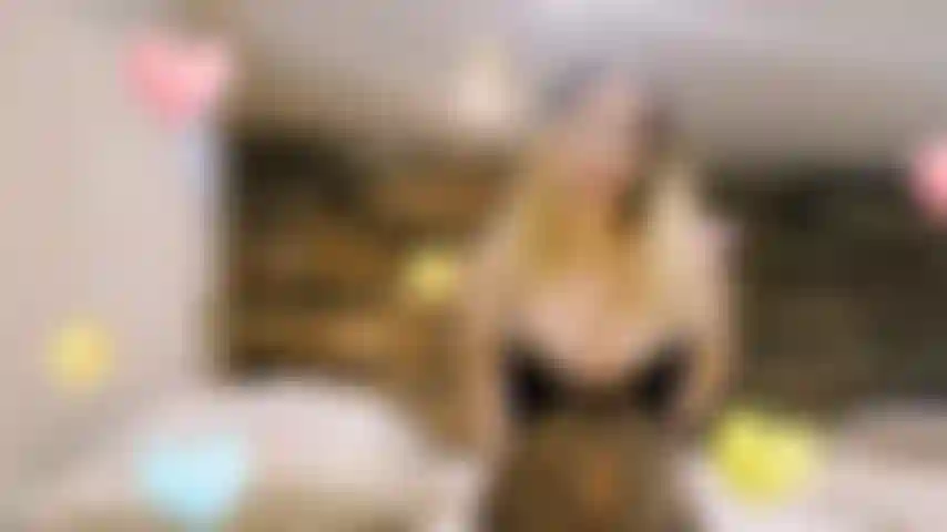 Prête à me faire insulter par mon alpha.