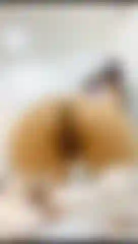 J'adore mon cul et mes pieds.