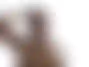 Bande de fenêtre de lingerie rouge sexy