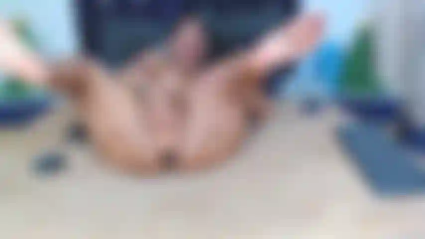 Baise fort et vite ma chatte mouillée.