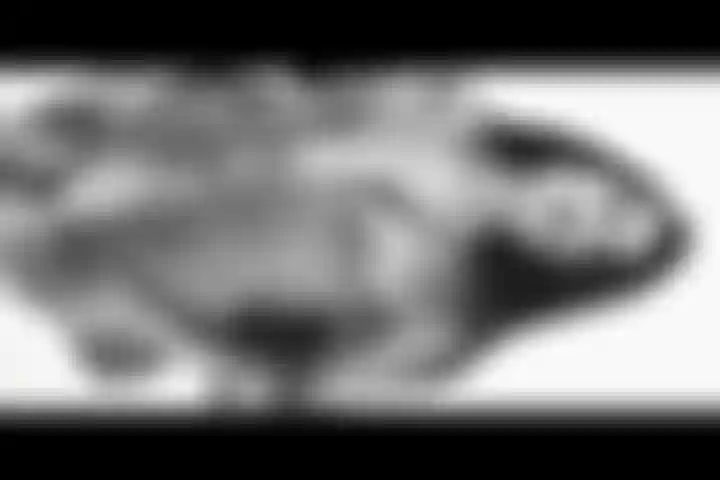 Briana est toujours prête pour toi.