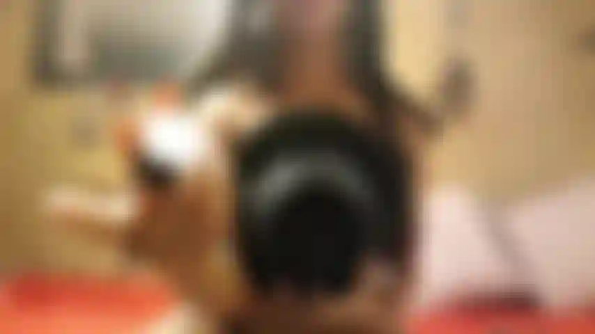 Nipples, Toys, and a Taste for Punishment