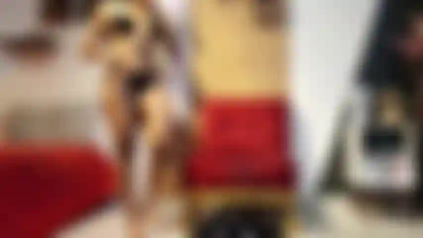 She Lifts, You Drool