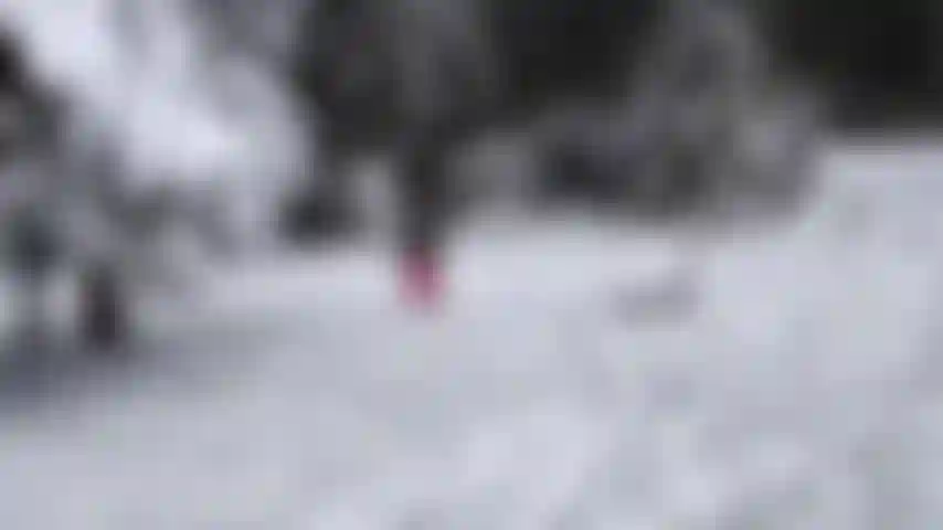 Mon paysage préféré en hiver.