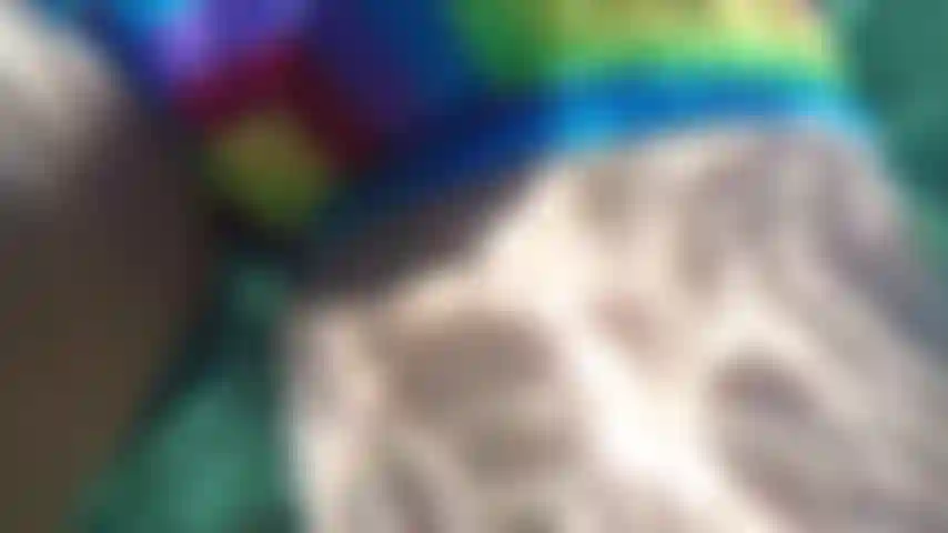 À quoi ressemble mon renflement dans ce speedo ?