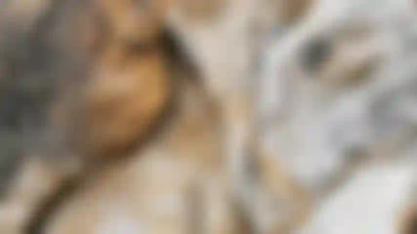 La séance photo est maintenant terminée, je vais au bateau.