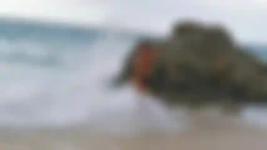 Jouant dans les vagues.