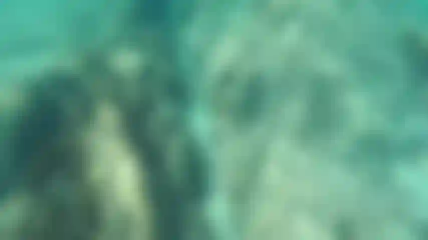 Nageant nu dans une eau claire.